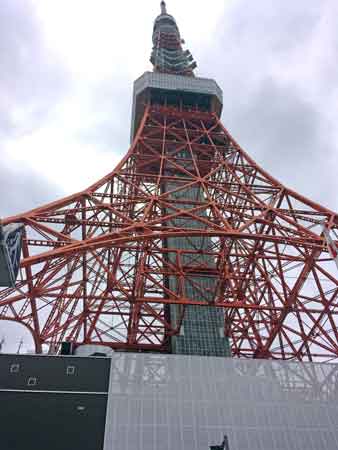 金地院門前から見た東京タワー